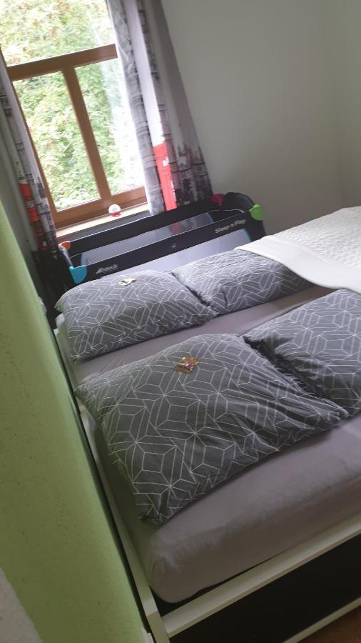 דרזדן Ferienwohnung An Der Begerburg מראה חיצוני תמונה