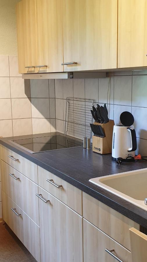 דרזדן Ferienwohnung An Der Begerburg מראה חיצוני תמונה